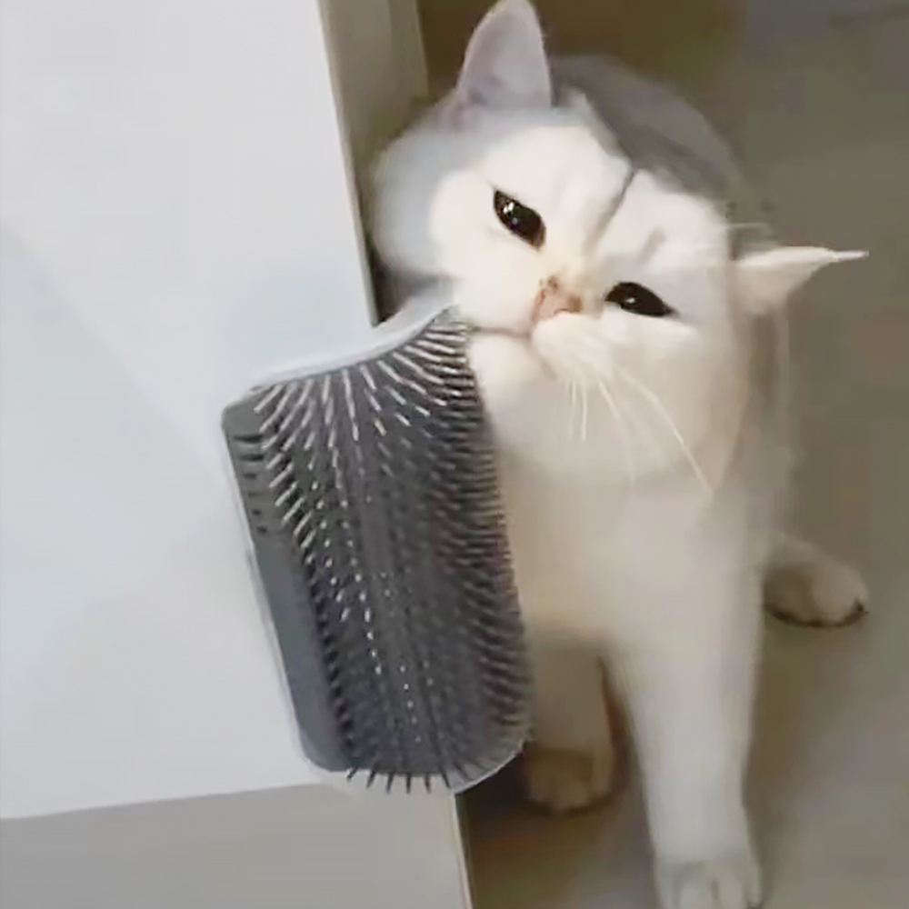 Hair Care Good Hair - Best-selling Item Massager for Cats PP