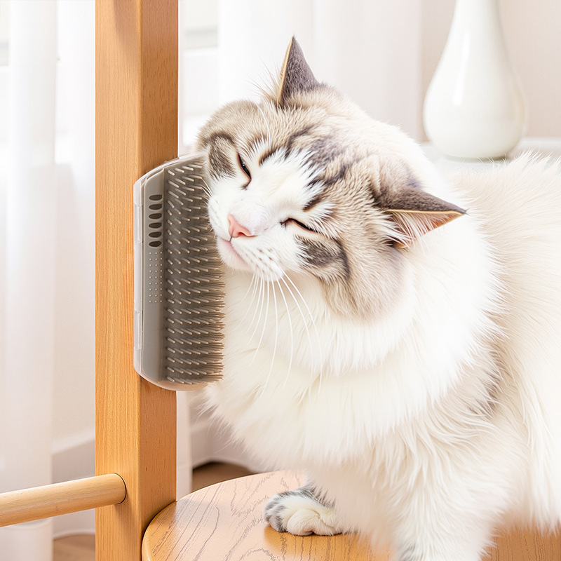 Best-selling Item Massager for - Hair Care Good Hair のレビューと価格