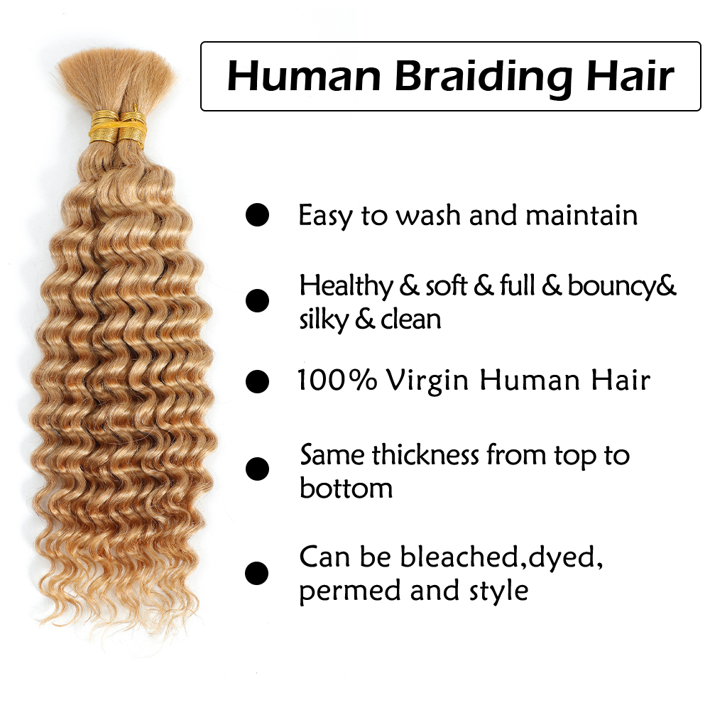 Human Braiding Hair 2Bundle 10 - Hair Care Barber のレビューと価格