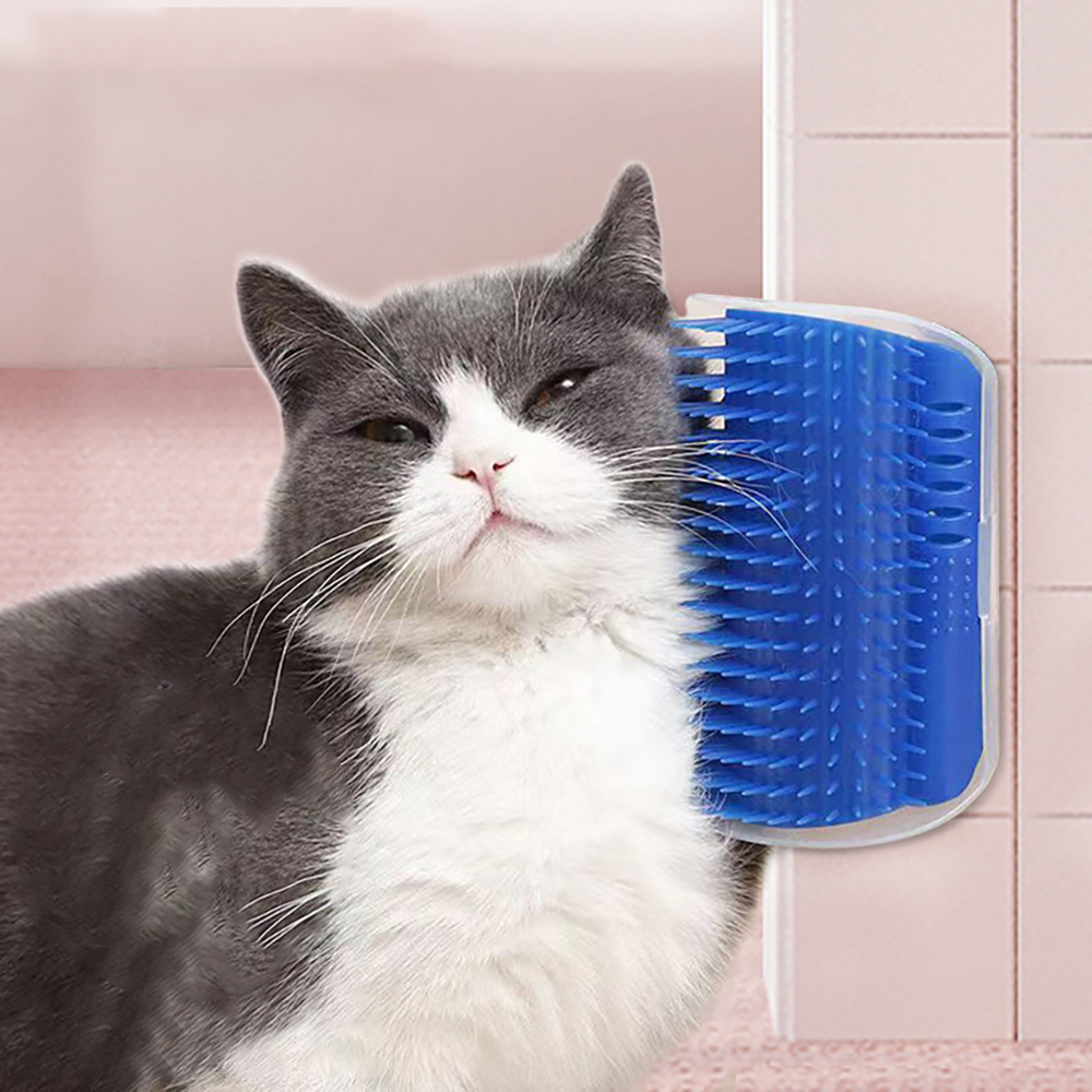 Best-selling Item Massager for - Hair Care Good Hair のレビューと価格